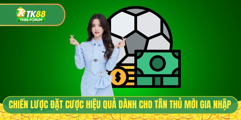 Chiến lược đặt cược hiệu quả dành cho tân thủ mới gia nhập