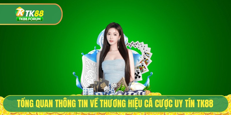 Tổng quan thông tin về thương hiệu cá cược uy tín TK88